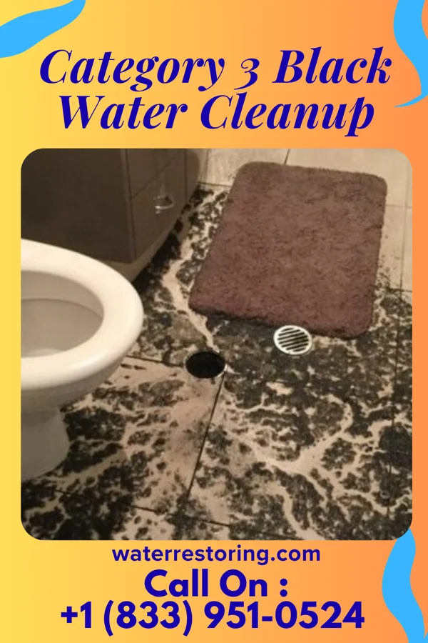 Category 3 Black Water Cleanup in Donaldson, PA