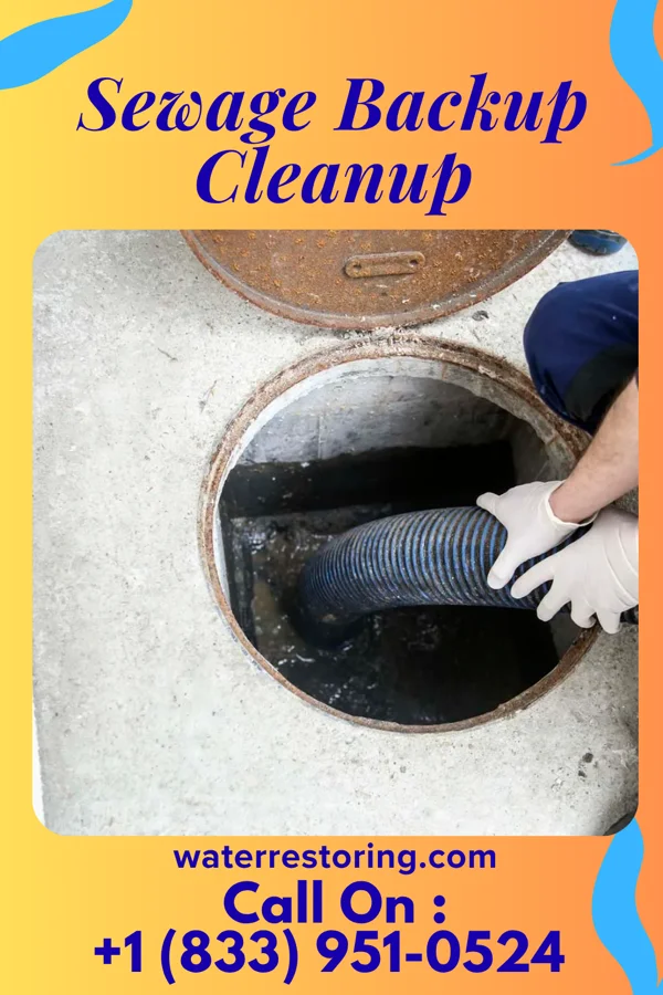Sewage Backup Cleanup in Donaldson, PA