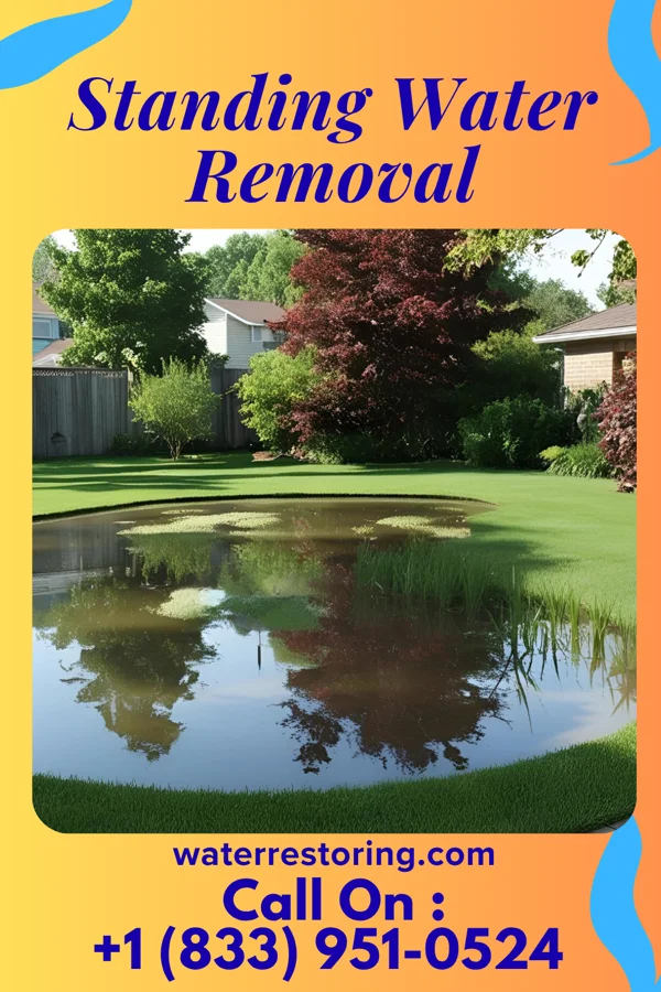 Standing Water Removal in Donaldson, PA